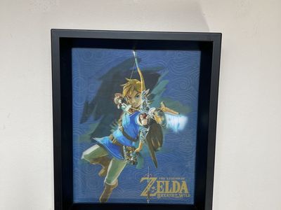 2016 Zelda: Breath Of The Wild Picture