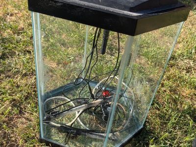 hexagon fish tank for sale