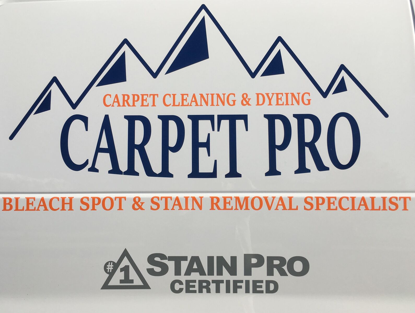 CARPET PRO CARPET CLEANING AND DYEING