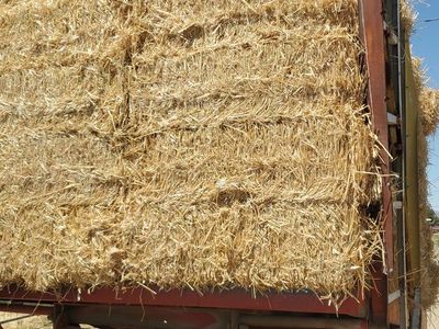 Oat Straw