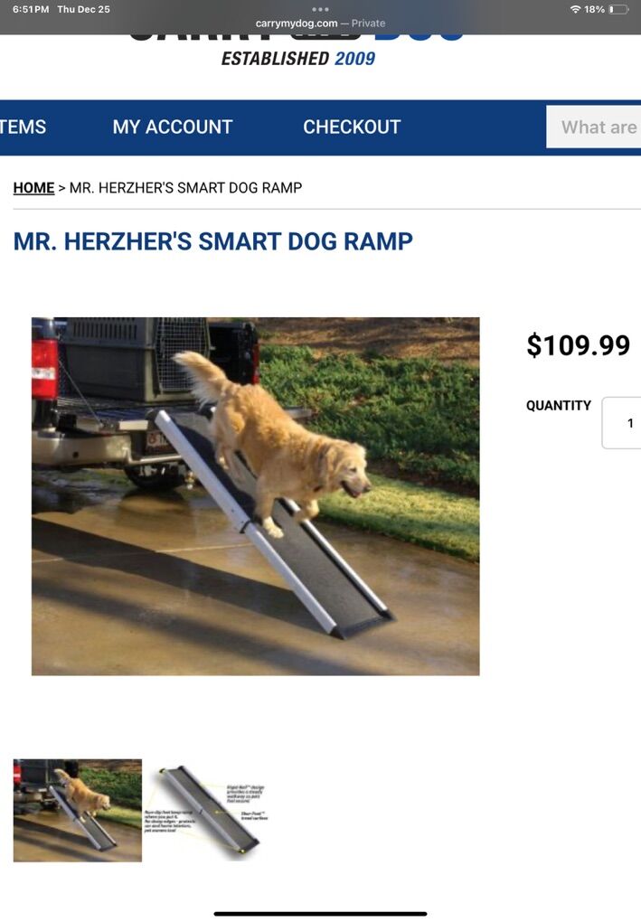 Pet Ramp