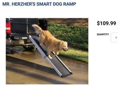 Pet Ramp