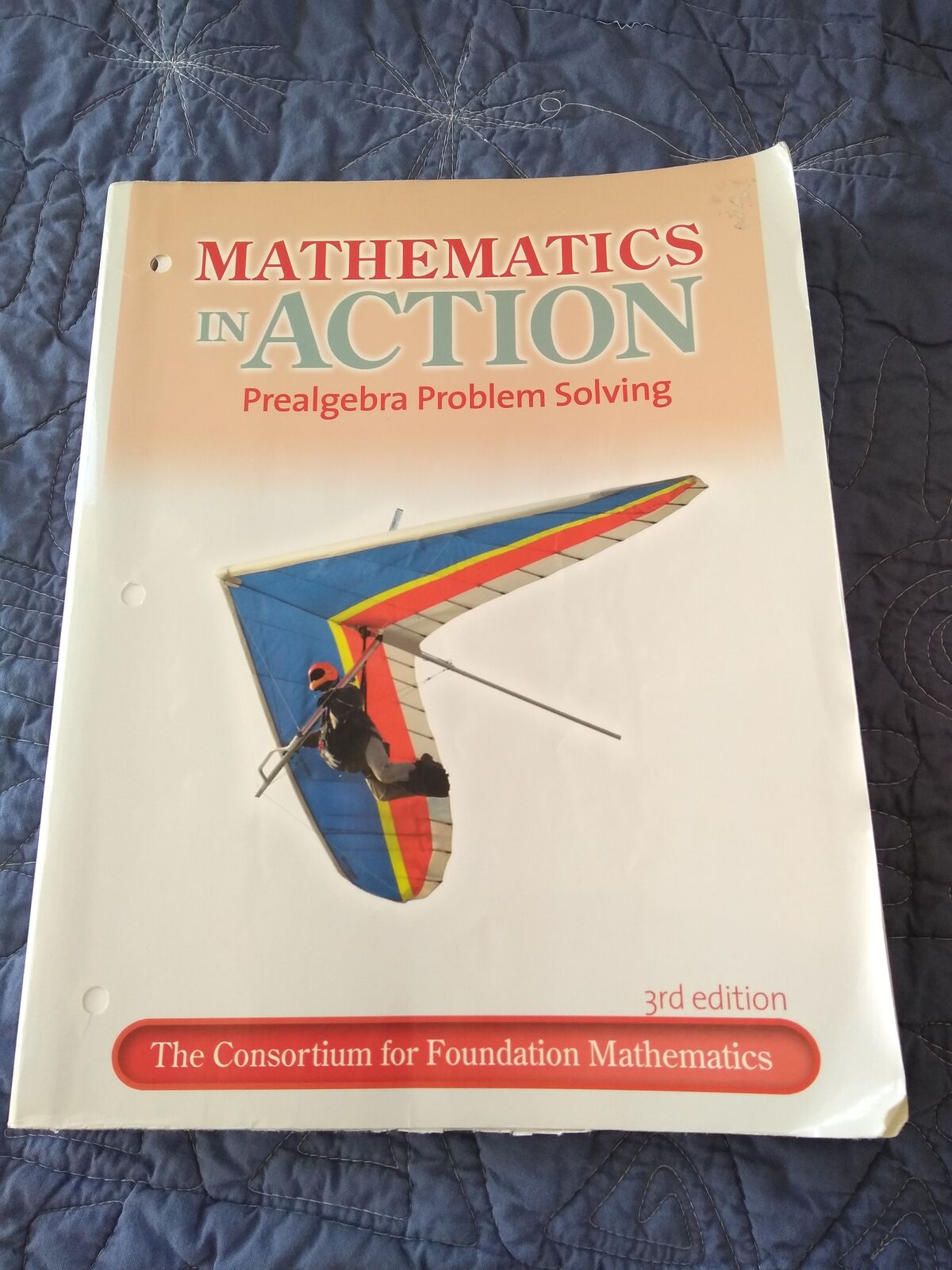 Mathematics in Action: Prealgebra Problem Solving (3rd Ed.)