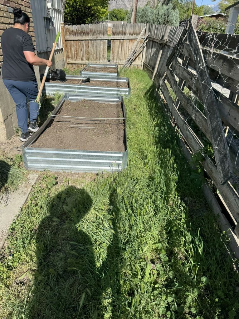 Weeds Removal Yard Clean Up Mowing Great Prices