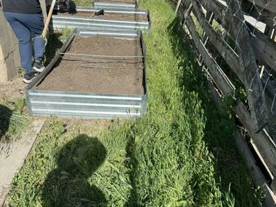 Weeds Removal Yard Clean Up Mowing Great Prices