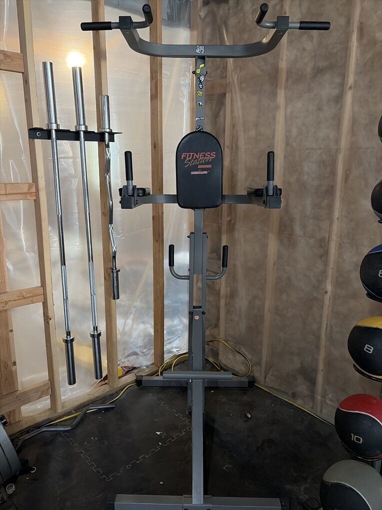 Pull Up And Dip Station