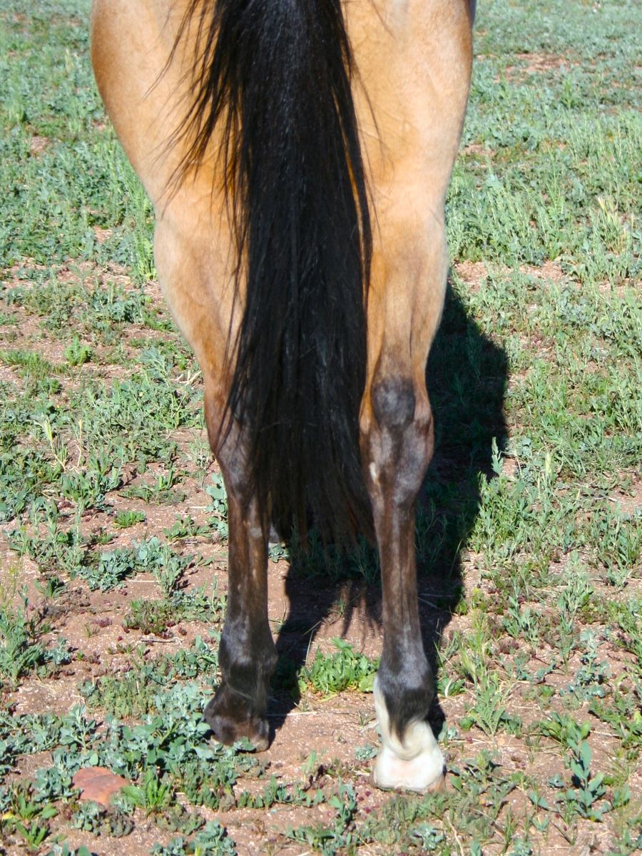 Main image 5