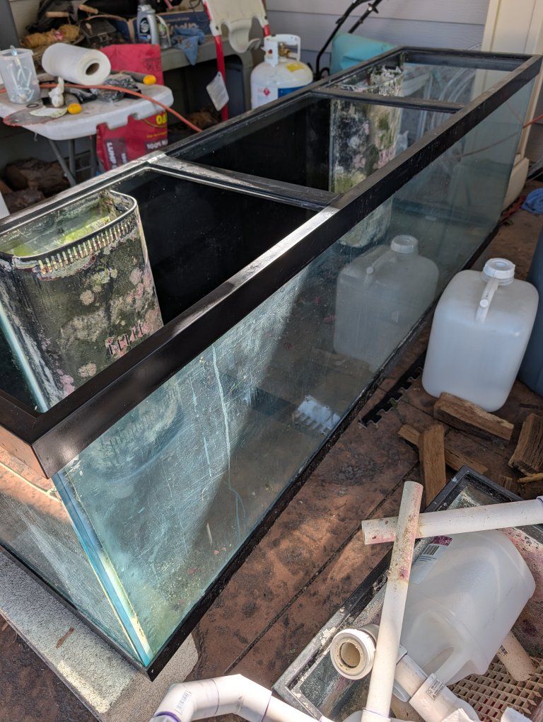 120 Gallon Reef Tank, Sump, and Custom Stand - UsedGood