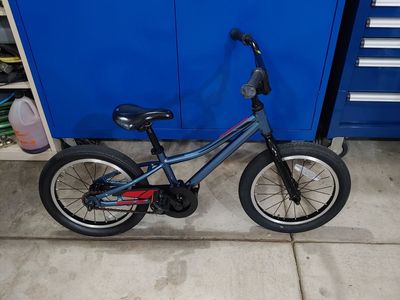 Giant Animator Kids Bike Bicycle