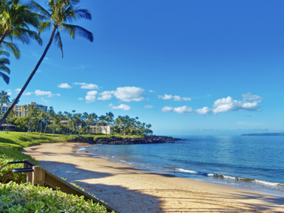 Hawaii Kauai Condo 2 bd Rental. June 27-July 4th (out 4th).
