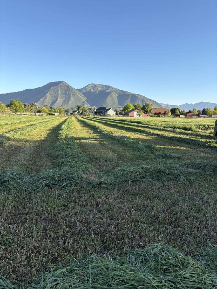 Farming