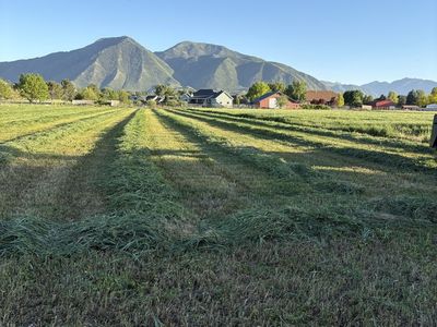 Farming