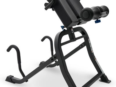 Teeter Hang ups Dex 2 (for back and core strength)