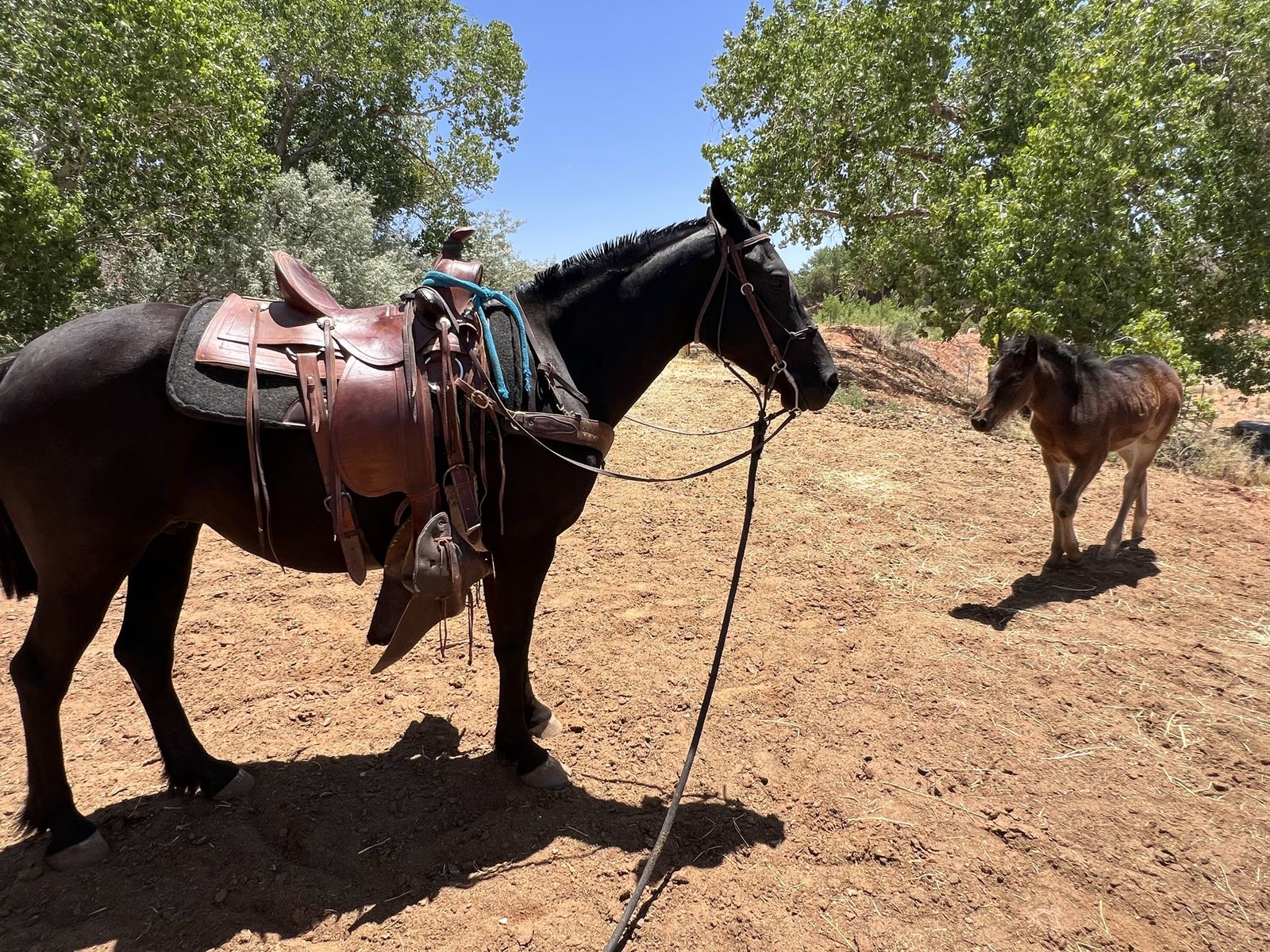 Main image 4
