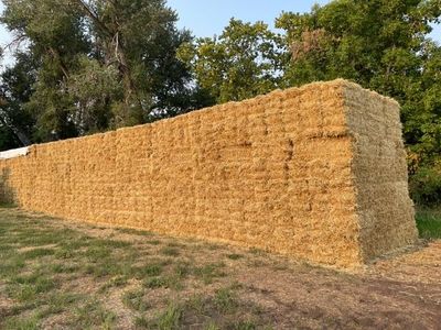 Straw Small Bales