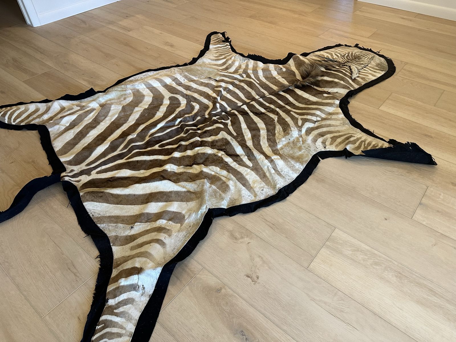 Zebra Rug