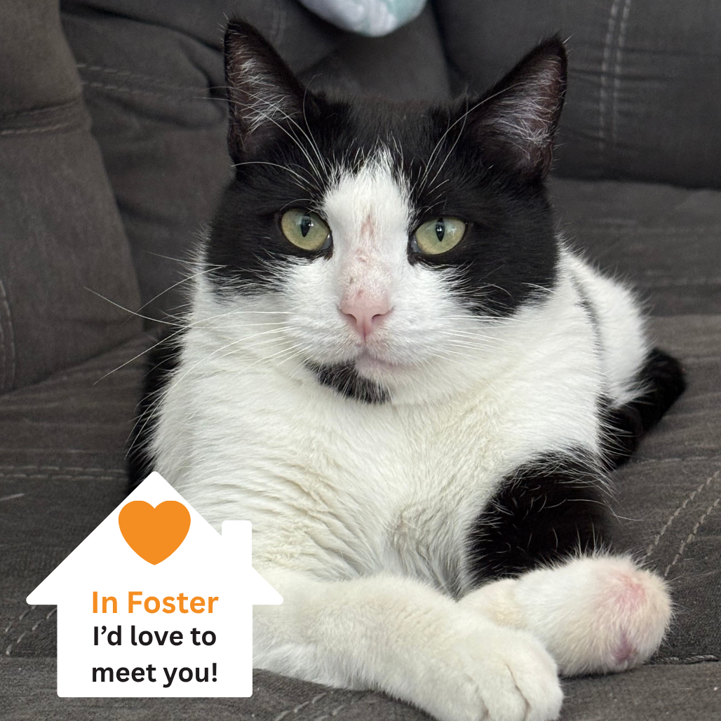 Hello my name is Lulu