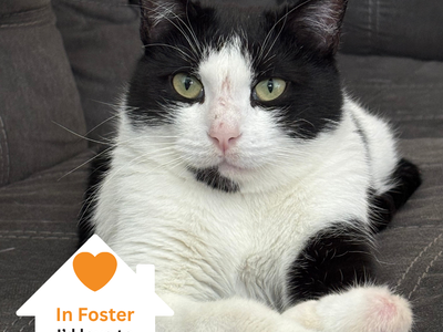 Hello my name is Lulu