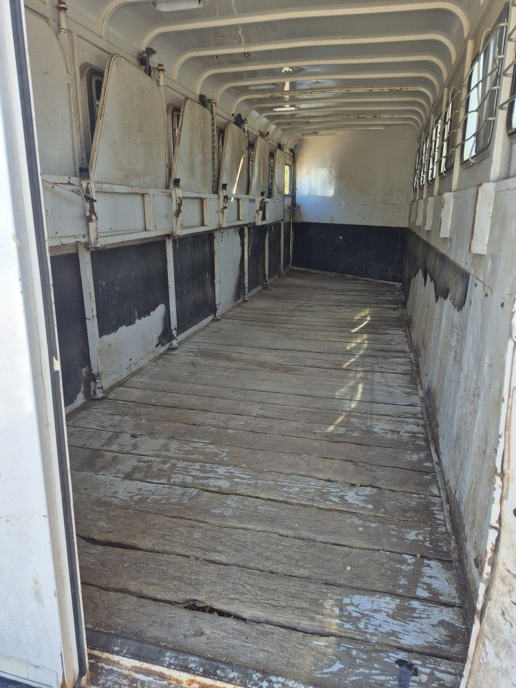 Main image 5