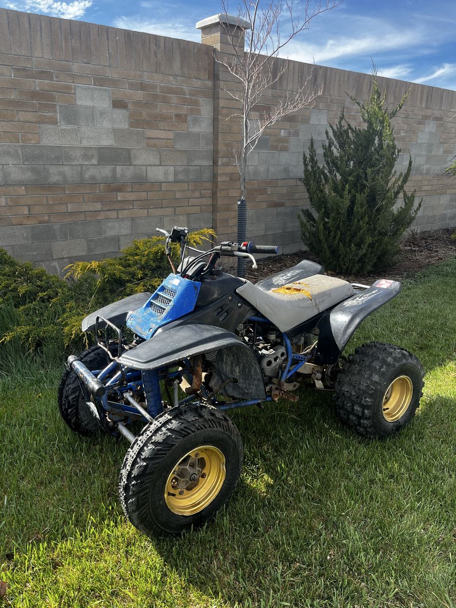 1987 Yamaha Warrior 350