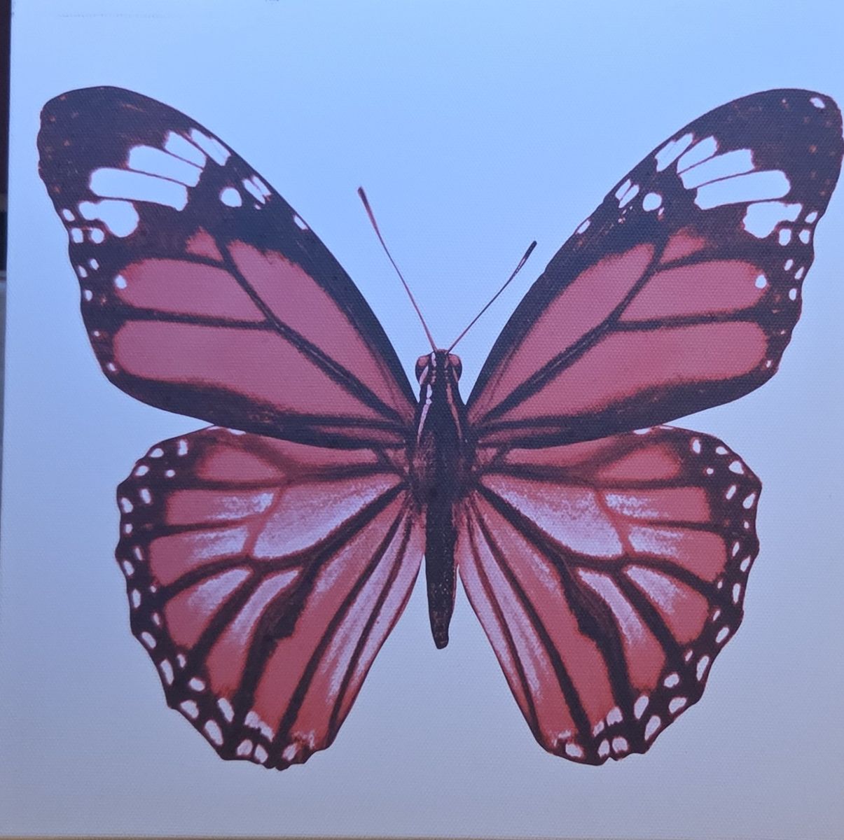 4 canvas butterfly pictures