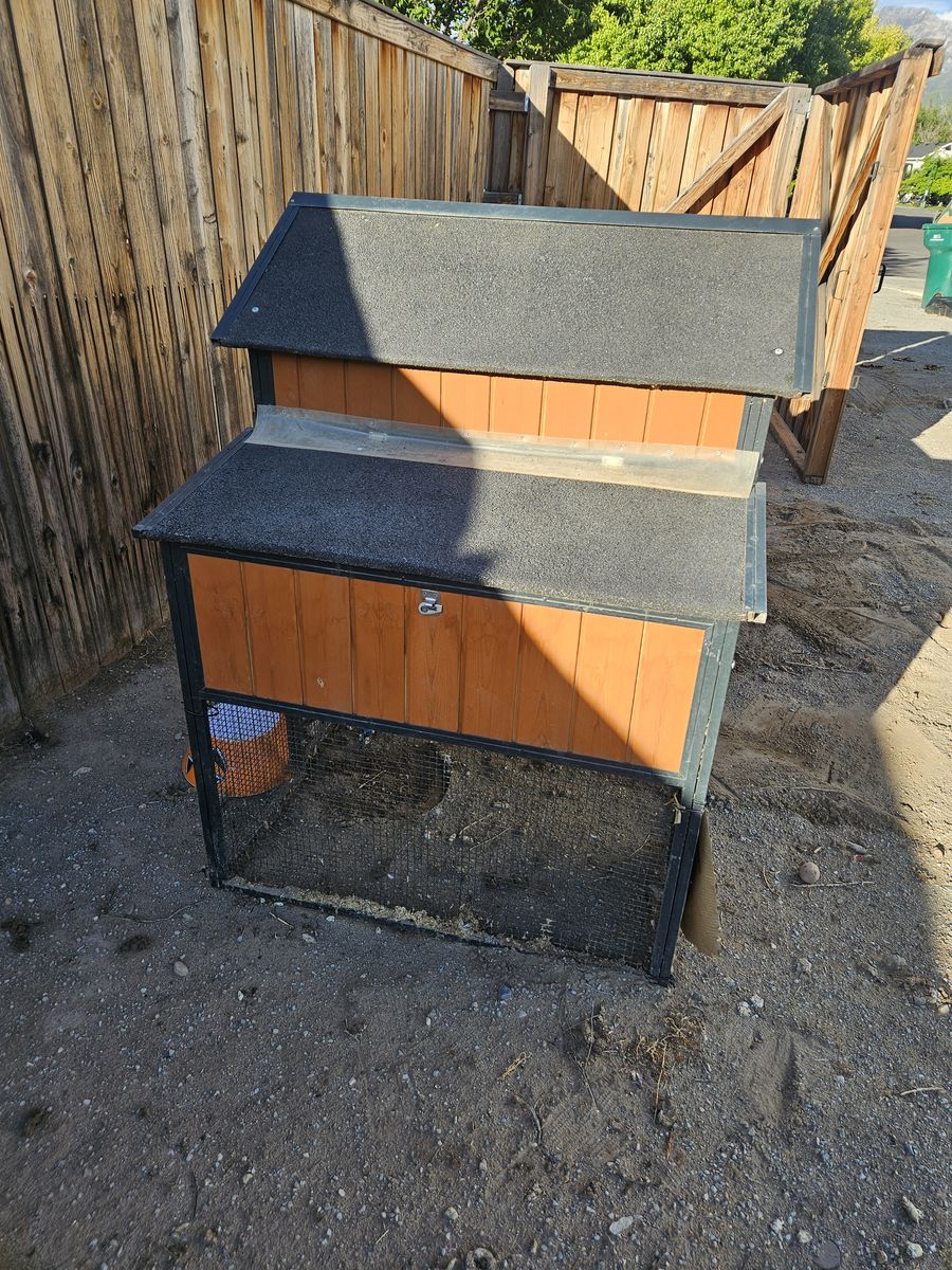 Main image 2