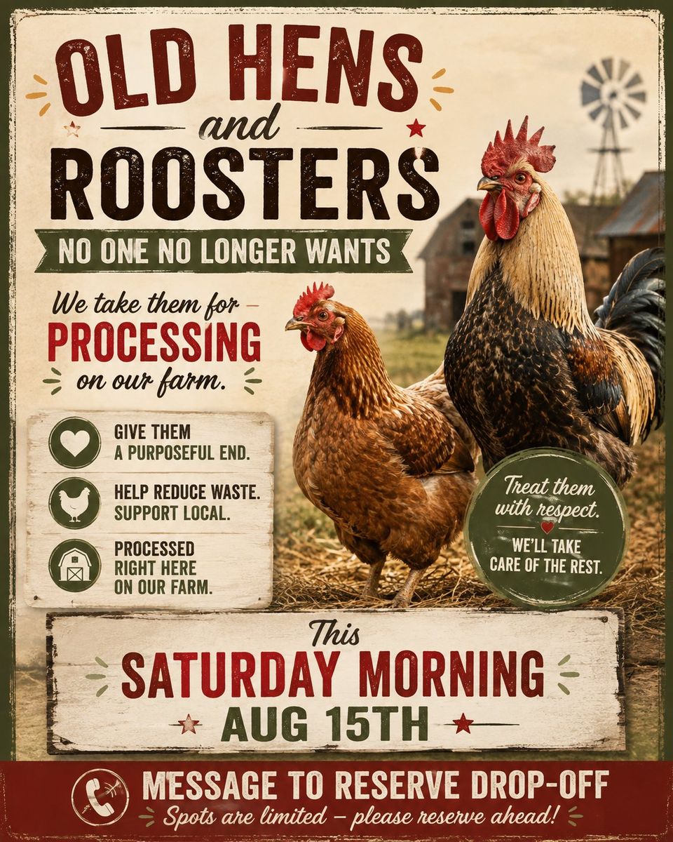 Accepting old hens and roosters!