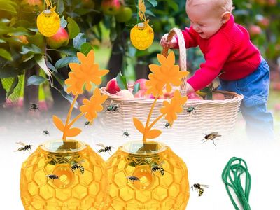 NEW Wasps Traps Outdoor Hanging, Wasp Bee Traps for Outdoor, Bees Catcher Trap, Sticky Fly Bug Insect Deterrent Killer 2 Pack
