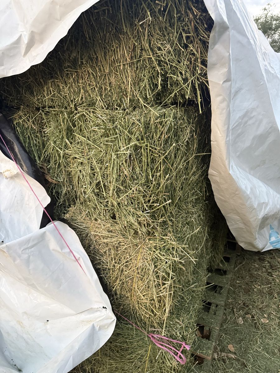small bales available 2nd crop 