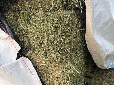 small bales available 2nd crop