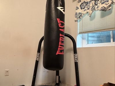 100lb Everlast Boxing Bag w/ Stand