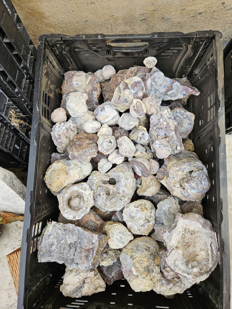 Geode Pieces! Many Whole ones