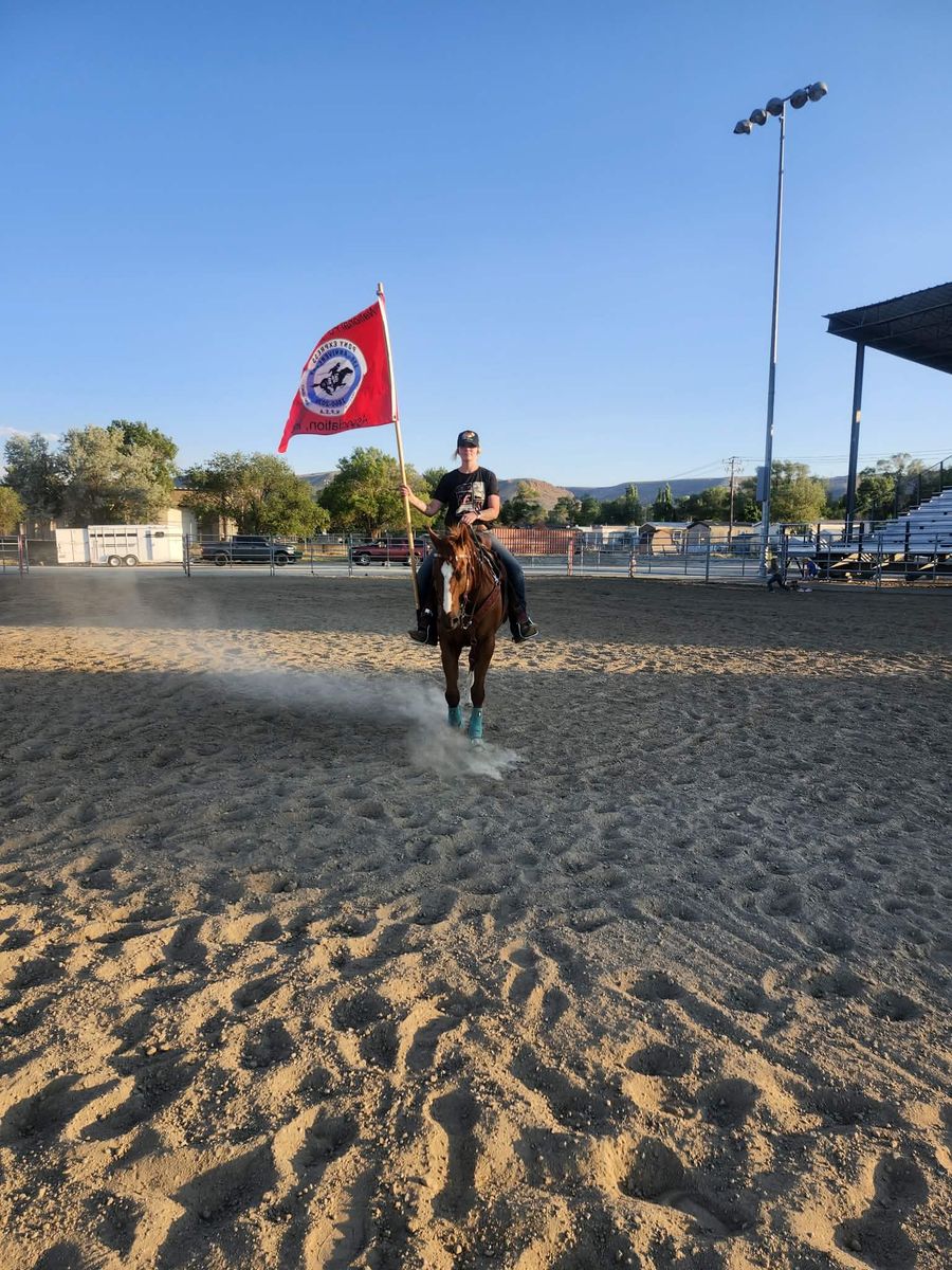 Registered AQHA Gelding