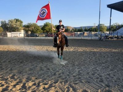 Registered AQHA Gelding