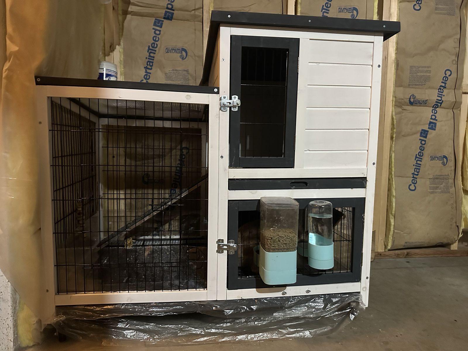 Rabbit hutch and rabbits