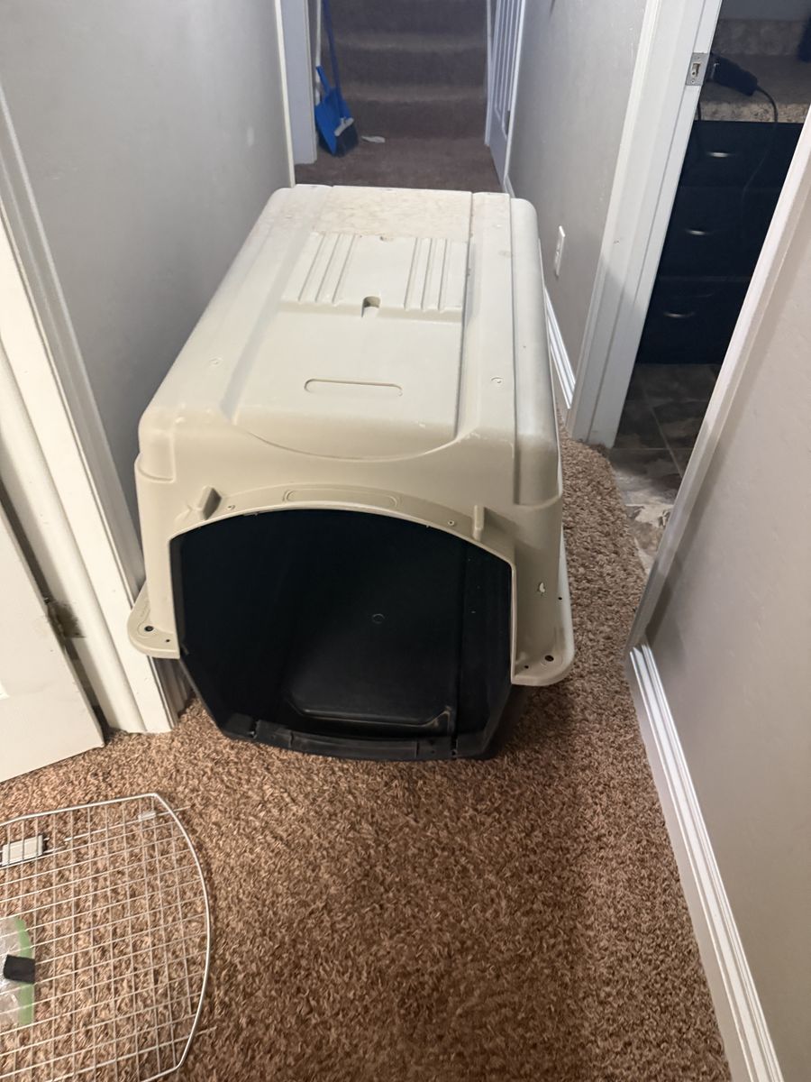 Large Dog Kennel