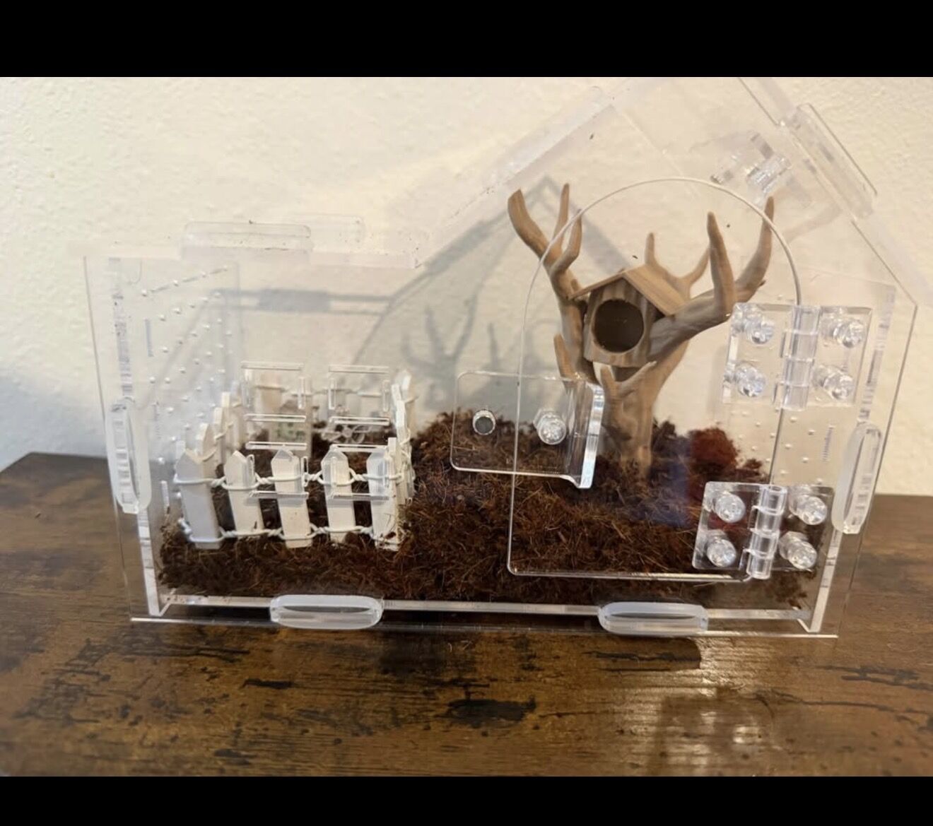 Small spider enclosure