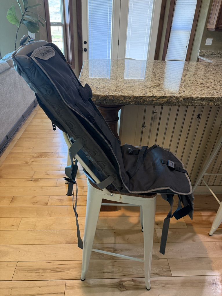 Special Needs Eating Chair