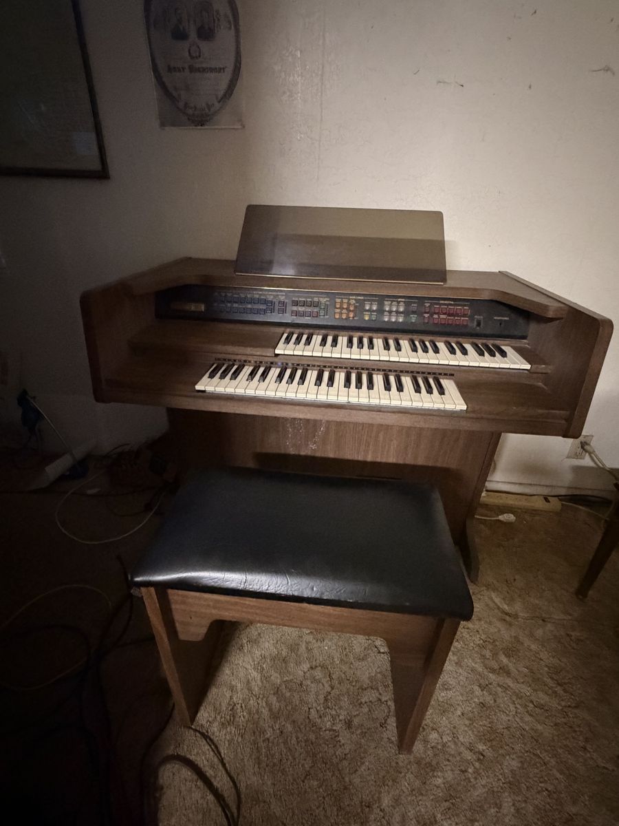 Small electric organ