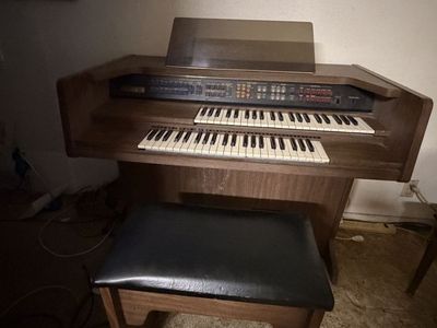 Small electric organ