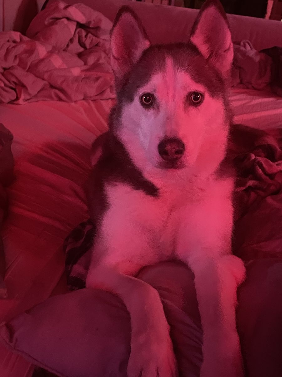 Help this beautiful girl