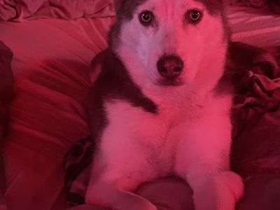 Help this beautiful girl