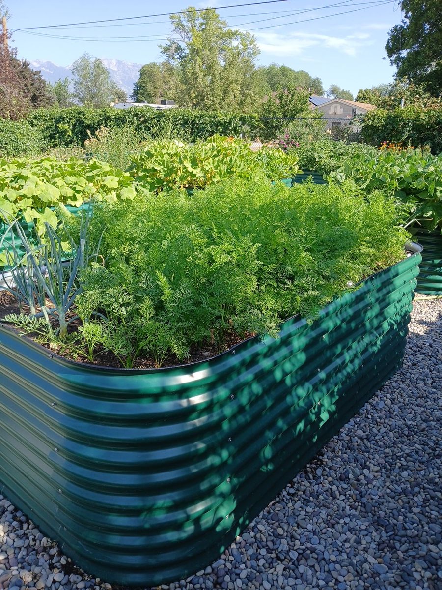 Vego Garden box