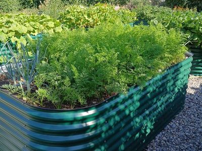 Vego Garden box
