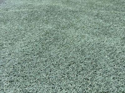 Artificial turf