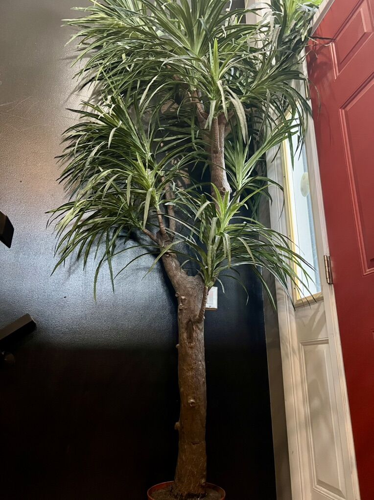 Large Artificial Tree