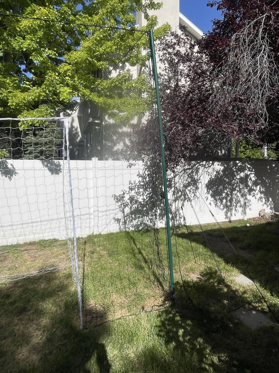 Main image 3