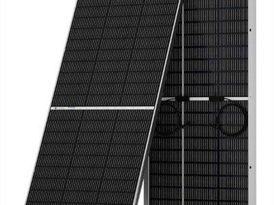 4 - Eco-Worthy 195W bifacial solar panels