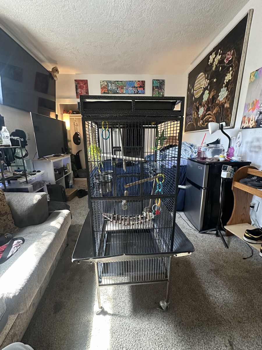 Large Bird Cage for Parrots Macaws Cockatoos, Black Metal Aviary with Stand, Perches, and Bowls