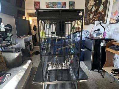 Large Bird Cage for Parrots Macaws Cockatoos, Black Metal Aviary with Stand, Perches, and Bowls